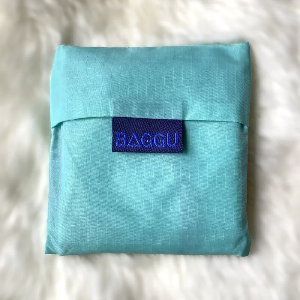 NWOT Standard Baggu - Mint Block - Picture 2 of 3